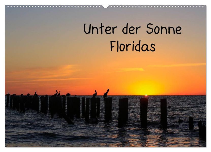 Unter der Sonne Floridas (Wandkalender 2027 DIN A2 quer) CALVENDO Monatskalender