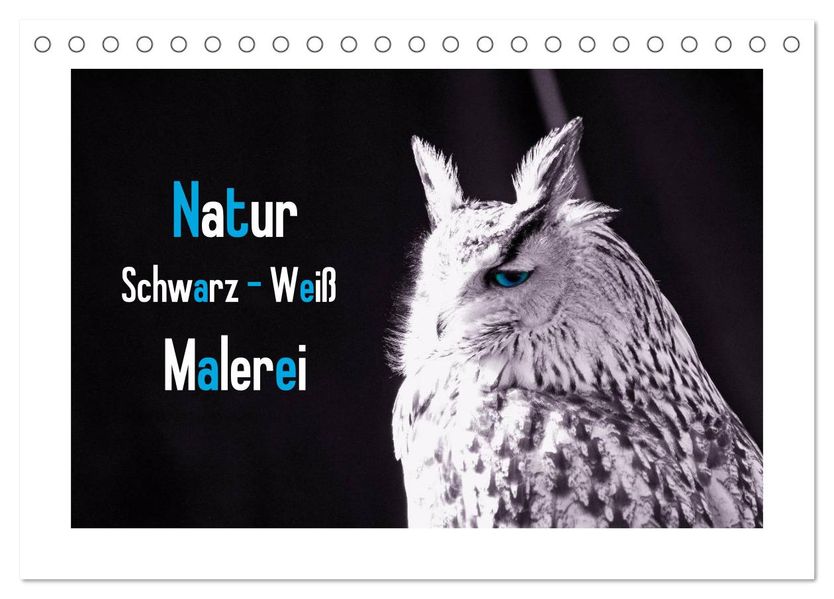 Natur schwarz - weiß Malerei (Tischkalender 2027 DIN A5 quer) CALVENDO Monatskalender
