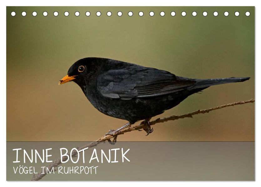 INNE BOTANIK - Vögel im Ruhrpott (Tischkalender 2027 DIN A5 quer) CALVENDO Monatskalender