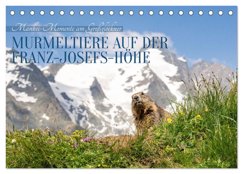Mankei Momente am Großglockner- Murmeltiere auf der Franz-Josefs-Höhe (Tischkalender 2027 DIN A5 quer) CALVENDO Monatskalender