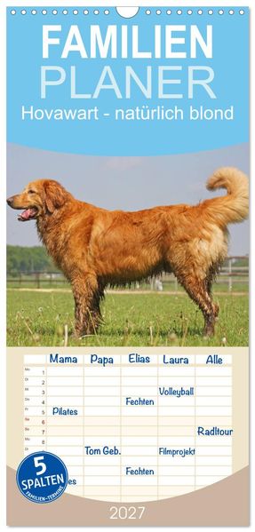 Familienplaner 2027 - Hovawart - natürlich blond mit 5 Spalten (Wandkalender 21 x 45 cm) CALVENDO