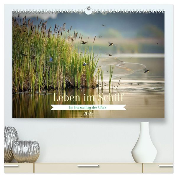 Leben im Schilf (hochwertiger Premium Wandkalender 2027 DIN A2 quer) Kunstdruck in Hochglanz