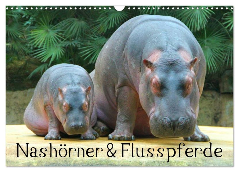 Nashörner & Flusspferde (Wandkalender 2027 DIN A3 quer) CALVENDO Monatskalender