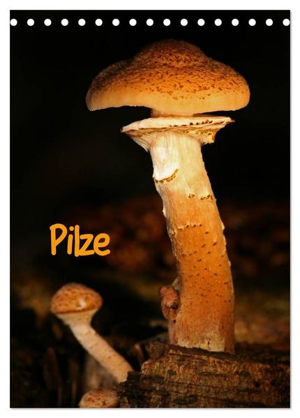 Pilze (Tischkalender 2027 DIN A5 hoch) CALVENDO Monatskalender