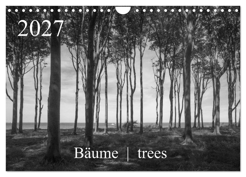 Bäume trees 2027 (Wandkalender 2027 DIN A4 quer) CALVENDO Monatskalender