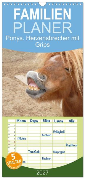 Familienplaner 2027 - Ponys. Herzensbrecher mit Grips mit 5 Spalten (Wandkalender 21 x 45 cm) CALVENDO