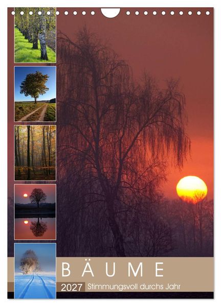 Bäume - Stimmungsvoll durchs Jahr (Wandkalender 2027 DIN A4 hoch) CALVENDO Monatskalender