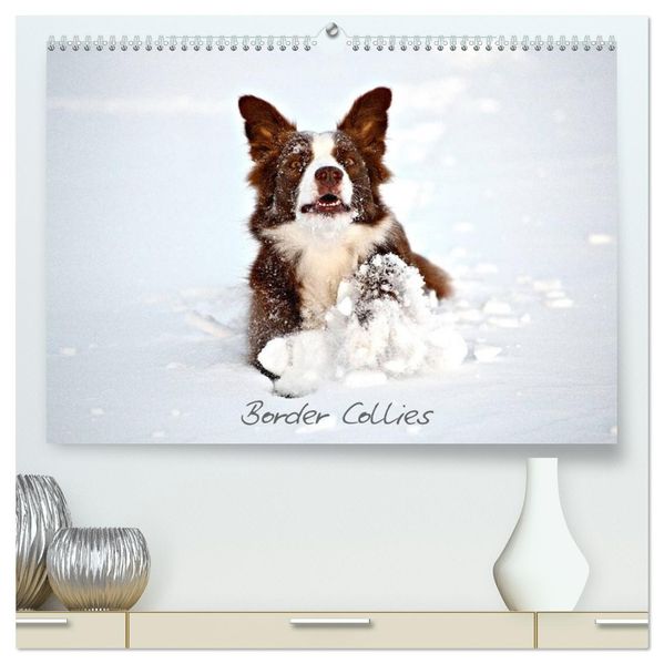 Border Collies (hochwertiger Premium Wandkalender 2027 DIN A2 quer) Kunstdruck in Hochglanz