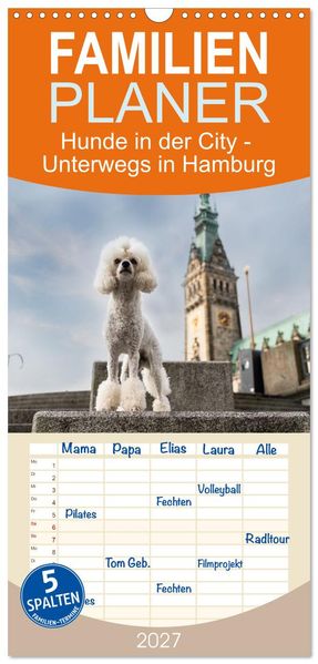 Familienplaner 2027 - Hunde in der City - Unterwegs in Hamburg mit 5 Spalten (Wandkalender 21 x 45 cm) CALVENDO