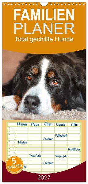 Familienplaner 2027 - Total gechillte Hunde mit 5 Spalten (Wandkalender 21 x 45 cm) CALVENDO