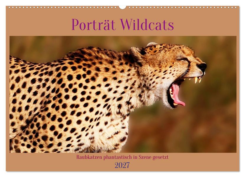 Porträt Wildcats (Wandkalender 2027 DIN A2 quer) CALVENDO Monatskalender
