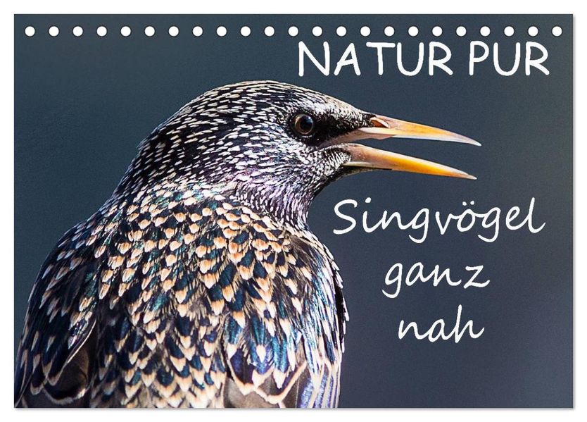 NATUR PUR - Singvögel ganz nah (Tischkalender 2027 DIN A5 quer) CALVENDO Monatskalender