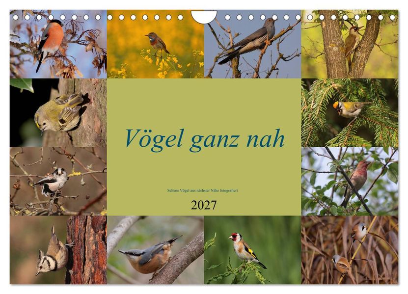 Vögel ganz nah (Wandkalender 2027 DIN A4 quer) CALVENDO Monatskalender