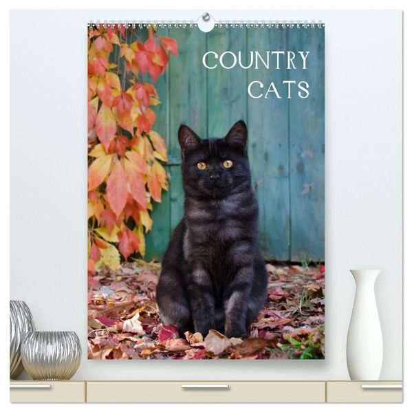 COUNTRY CATS (hochwertiger Premium Wandkalender 2027 DIN A2 hoch) Kunstdruck in Hochglanz