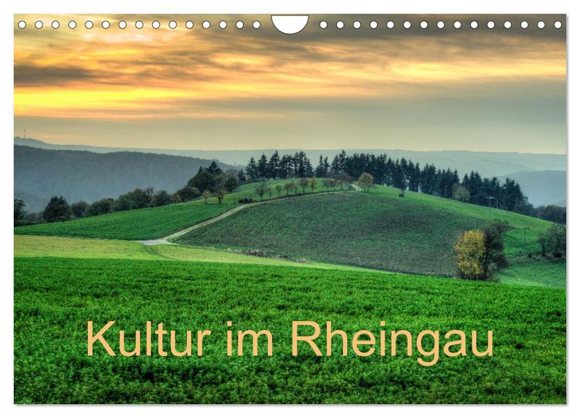 Kultur im Rheingau (Wandkalender 2027 DIN A4 quer) CALVENDO Monatskalender