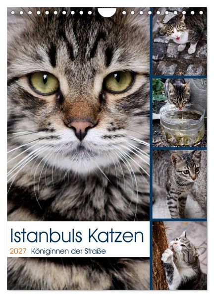 Istanbuls Katzen (Wandkalender 2027 DIN A4 hoch) CALVENDO Monatskalender