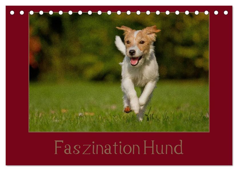 Faszination Hund (Tischkalender 2027 DIN A5 quer) CALVENDO Monatskalender