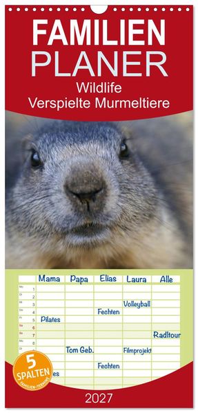 Familienplaner 2027 - Wildlife - Verspielte Murmeltiere mit 5 Spalten (Wandkalender 21 x 45 cm) CALVENDO