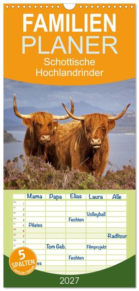 Familienplaner 2027 - Schottische Hochlandrinder. Freundlich schön und robust mit 5 Spalten (Wandkalender 21 x 45 cm) CALVENDO