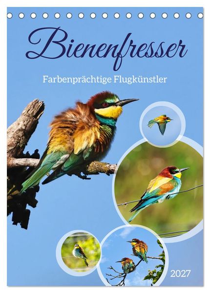 Bienenfresser farbenprächtige Flugkünstler (Tischkalender 2027 DIN A5 hoch) CALVENDO Monatskalender