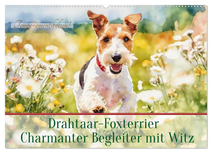 Drahthaar-Foxterrier charmanter Begleiter mit Witz (Wandkalender 2027 DIN A2 quer) CALVENDO Monatskalender