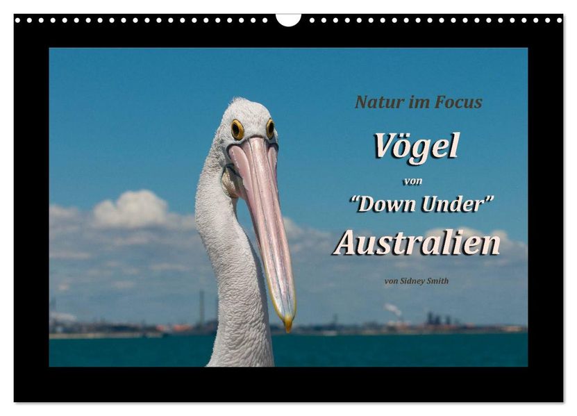 Vögel von 'Down Under' Australien (Wandkalender 2027 DIN A3 quer) CALVENDO Monatskalender