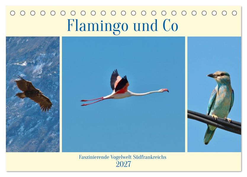 Flamingo und Co - Faszinierende Vogelwelt Südfrankreichs (Tischkalender 2027 DIN A5 quer) CALVENDO Monatskalender