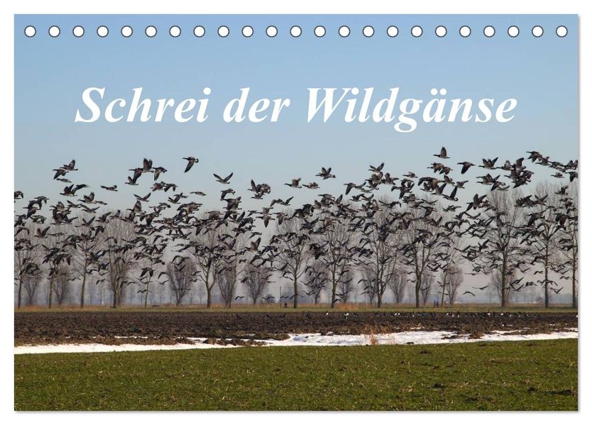Schrei der Wildgänse (Tischkalender 2027 DIN A5 quer) CALVENDO Monatskalender