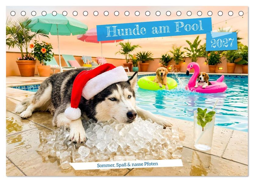 Hunde am Pool - Sommer Spaß und nasse Pfoten (Tischkalender 2027 DIN A5 quer) CALVENDO Monatskalender