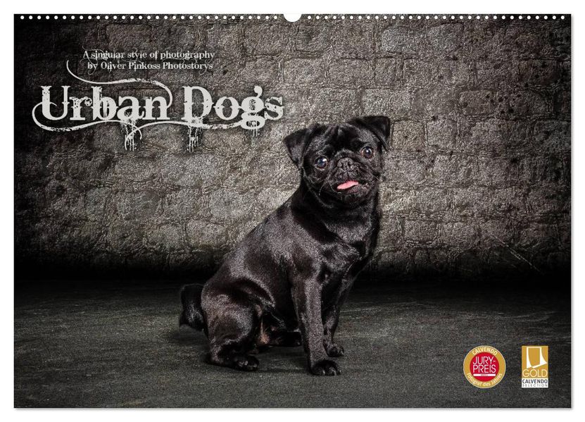 Urban Dogs - Hundekalender der anderen Art (Wandkalender 2027 DIN A2 quer) CALVENDO Monatskalender