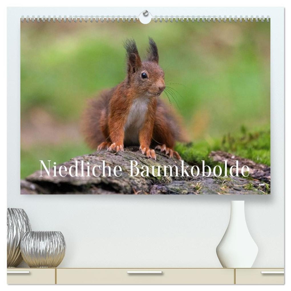 Niedliche Baumkobolde (hochwertiger Premium Wandkalender 2027 DIN A2 quer) Kunstdruck in Hochglanz