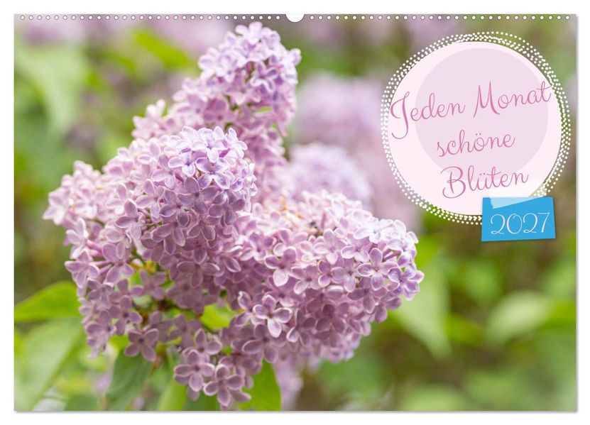 Jeden Monat schöne Blüten (Wandkalender 2027 DIN A2 quer) CALVENDO Monatskalender