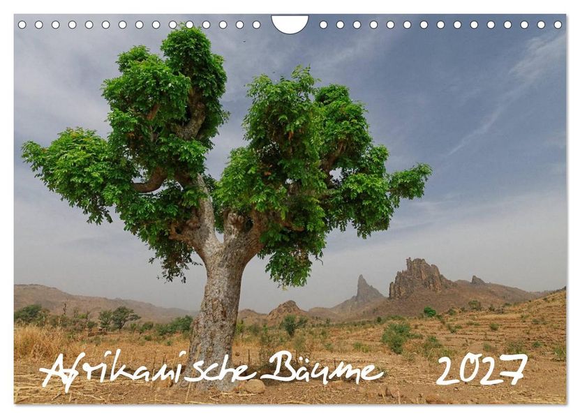 Afrikanische Bäume (Wandkalender 2027 DIN A4 quer) CALVENDO Monatskalender