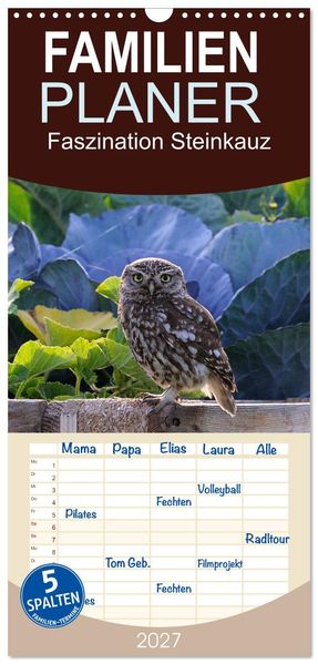Familienplaner 2027 - Faszination Steinkauz mit 5 Spalten (Wandkalender 21 x 45 cm) CALVENDO