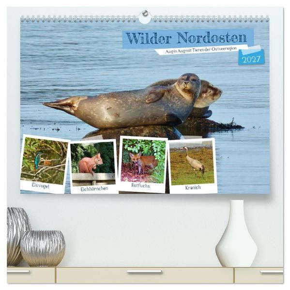 Wilder Nordosten - Aug in Aug mit Tieren der Ostseeregion (hochwertiger Premium Wandkalender 2027 DIN A2 quer) Kunstdruck in Hochglanz