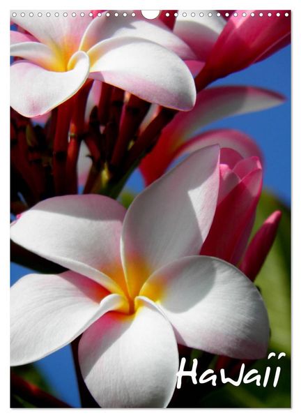 Hawaii (Wandkalender 2027 DIN A3 hoch) CALVENDO Monatskalender