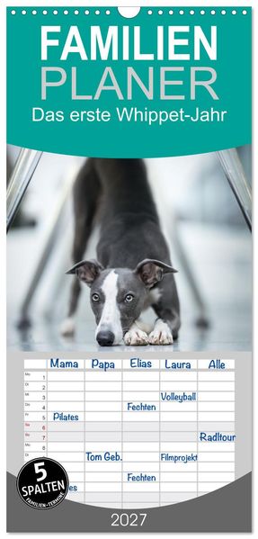 Familienplaner 2027 - Das erste Whippet-Jahr mit 5 Spalten (Wandkalender 21 x 45 cm) CALVENDO