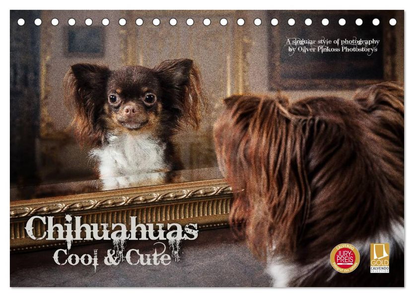 Chihuahuas - Cool and Cute (Tischkalender 2027 DIN A5 quer) CALVENDO Monatskalender