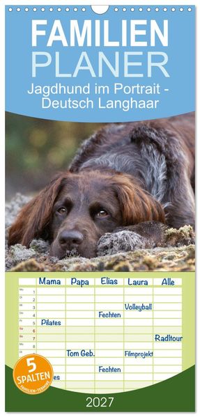 Familienplaner 2027 - Jagdhund im Portrait - Deutsch Langhaar mit 5 Spalten (Wandkalender 21 x 45 cm) CALVENDO