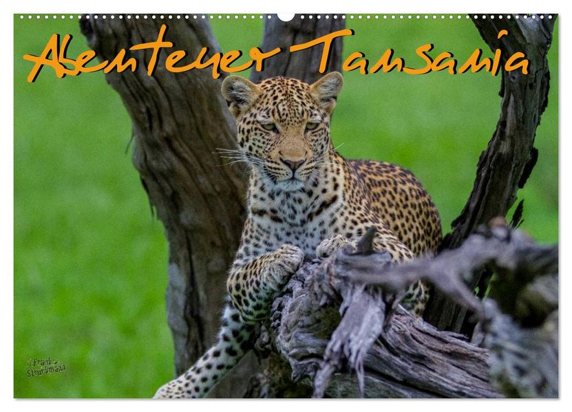 Abenteuer Tansania Afrika (Wandkalender 2027 DIN A2 quer) CALVENDO Monatskalender