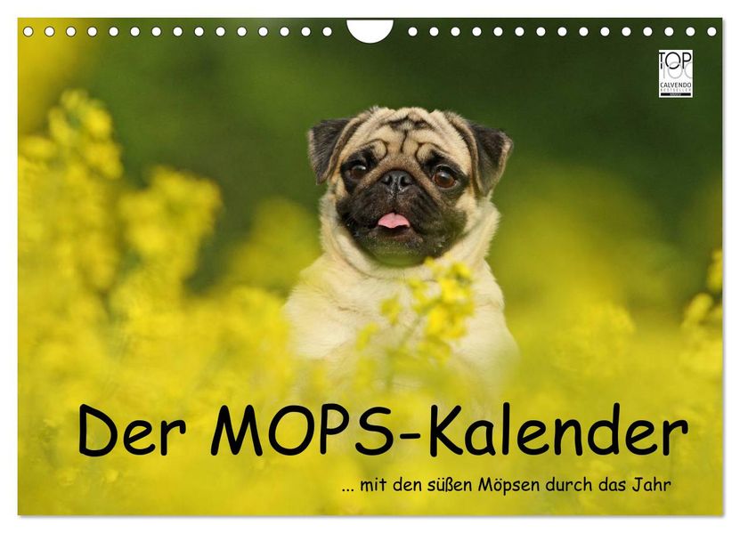 Der MOPS-Kalender (Wandkalender 2027 DIN A4 quer) CALVENDO Monatskalender