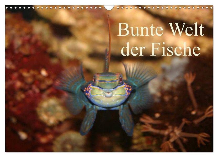 Bunte Welt der Fische (Wandkalender 2027 DIN A3 quer) CALVENDO Monatskalender