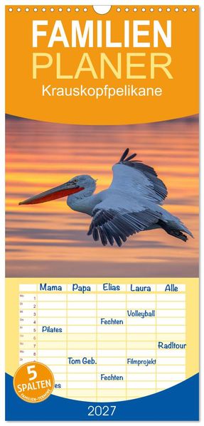 Familienplaner 2027 - Krauskopfpelikane mit 5 Spalten (Wandkalender 21 x 45 cm) CALVENDO