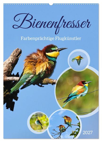 Bienenfresser farbenprächtige Flugkünstler (Wandkalender 2027 DIN A2 hoch) CALVENDO Monatskalender
