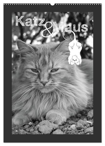 Katz & Maus (Wandkalender 2027 DIN A2 hoch) CALVENDO Monatskalender