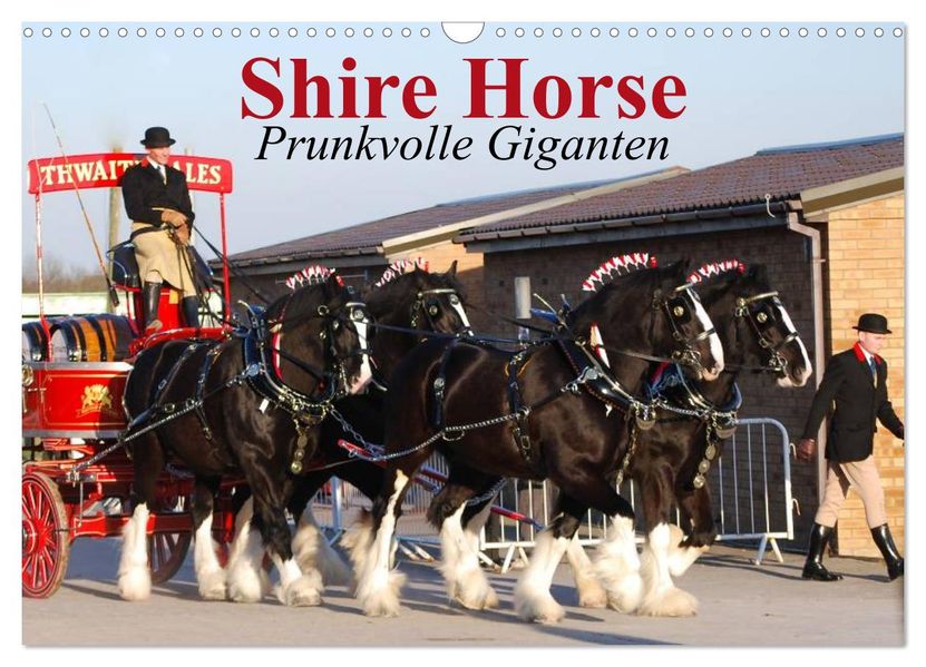 Shire Horse Prunkvolle Giganten (Wandkalender 2027 DIN A3 quer) CALVENDO Monatskalender