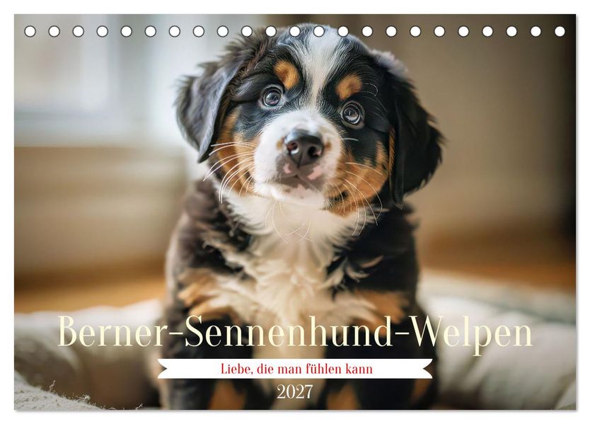 Berner-Sennenhund-Welpen (Tischkalender 2027 DIN A5 quer) CALVENDO Monatskalender