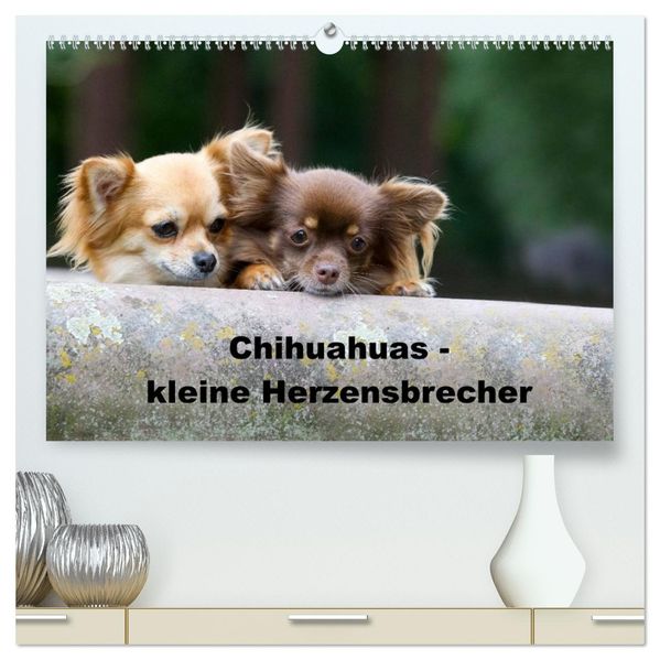 Chihuahuas - kleine Herzensbrecher (hochwertiger Premium Wandkalender 2027 DIN A2 quer) Kunstdruck in Hochglanz