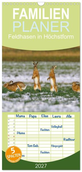 Familienplaner 2027 - Feldhasen in Höchstform mit 5 Spalten (Wandkalender 21 x 45 cm) CALVENDO
