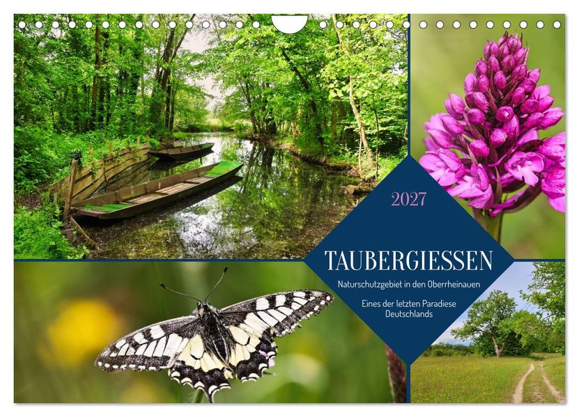 Taubergießen (Wandkalender 2027 DIN A4 quer) CALVENDO Monatskalender